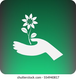 icon of the flower in the hand