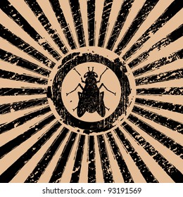 icon of fly on Rising Sun rays