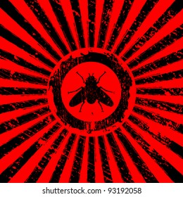 icon of fly on Rising Sun rays
