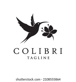 icon of flying colibri and flower isolated on white background