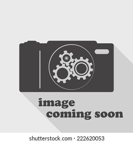 Icon, in the form of a camera with gears, symbolizing the image which is loaded and it will be shown soon.