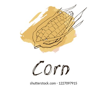 Icon in the form of corn and lettering. Corn on watercolor background.
