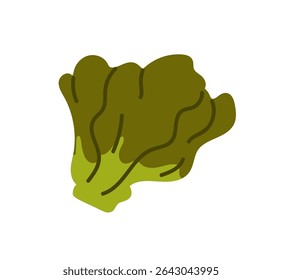 Icon of fresh spinach, iceberg lettuce, green sorrel. Bunch of leaves, greenery, plant. Natural vegetable, healthy farm food. Agriculture crop for eating. Flat isolated vector illustration on white