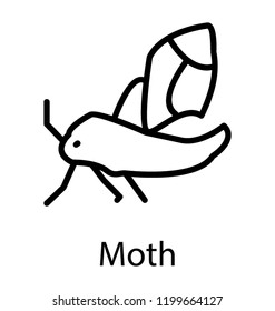 Icon of a garden insect having big wings depicting moth 