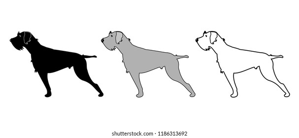 Icon of German wirehaired pointer in three colors