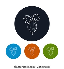 Icon Gooseberry  , Four Types of Colorful Round Icons Gooseberry  , Line Style, Vector Illustration
