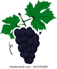 Icon Of Grape In Ui Colors. Flat Color Design. Vector Illustration.