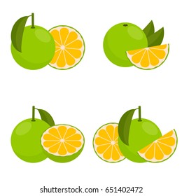 Icon Grapefruit white. Set with whole fruit and a half, with leaves and without. Vector illustration in a flat style.