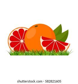 Icon Grapefruit: whole fruit and a half, with leaves and without on the grass. Vector illustration in a flat style.