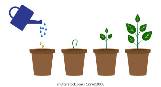 Icon with green flowerpots watering can for concept design. Growth step infographic concept. Stock image. EPS 10.