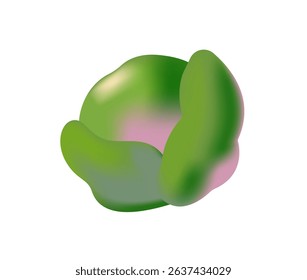 Icon of green head of cabbage in gradient style. Fresh organic vegetable, natural farm food, healthy eating. Agriculture harvest, garden crop. Flat isolated vector illustration on white background