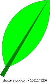 Icon green leaf illustration vector
