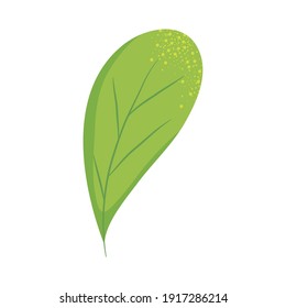 icono de hoja verde sobre fondo blanco, diseño colorido, ilustración vectorial