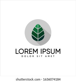 icon green leaf vector design templates
