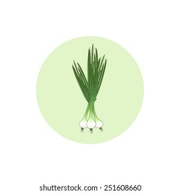 Icon green onion,  icon vegetables , vector illustration