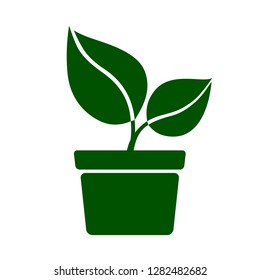 Icon of green plant. Sprout with green leaves in pot. Vector Illustration