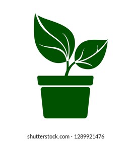 Icon of green plant. Sprout with green leaves in pot. Vector Illustration