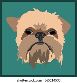 Icon with griffon dog. Vector illustration in flat style.