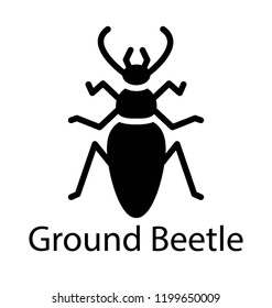 Icon of a ground insect having long legs depicting ground beetle