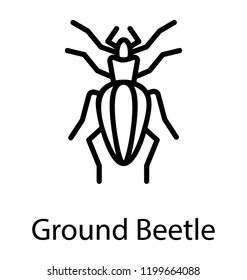 Icon of a ground insect having long legs depicting ground beetle