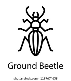 Icon of a ground insect having long legs depicting ground beetle