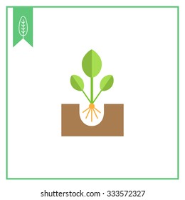 Icon of growing green sprout