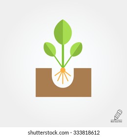 Icon of growing green sprout