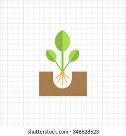 Icon of growing green sprout