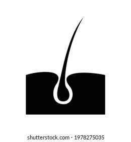 icon of hair and scalp in a flat style
