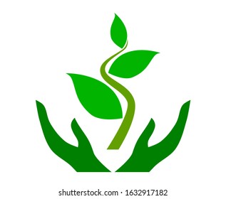 Icon of hands carefully holding green leaves,Vector Illustration