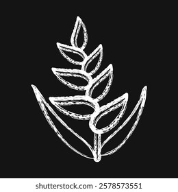 Icon heliconia. Beautiful flowers elements. Icon in chalk style.