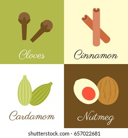 Icon of herbs and spices , cloves, cinnamon, cardamom and nutmeg, flat design