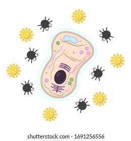Icon of a human cell surrounded by viruses and bacteria. Isolated vector illustration on a white background.