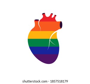 Icon of human realistic heart with lgbt symbolic. Anatomic heart with lgbt flags, homosexual colors. Logo design template isolated on white background