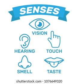 Icon Human Senses: Vision, Smell, Hearing, Touch, Taste. Icons S