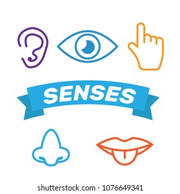 Icon human senses: vision, smell, hearing, touch, taste. Icons s