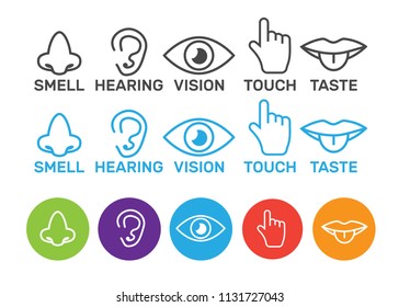 33,000 Sense icon Images, Stock Photos & Vectors | Shutterstock