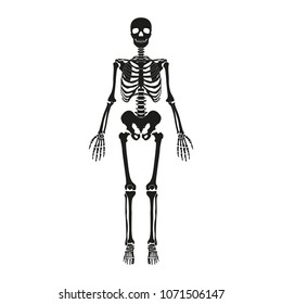 Icon of the human skeleton.