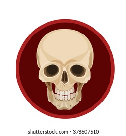 icon Human skull 