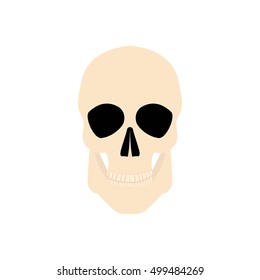Icon human skull