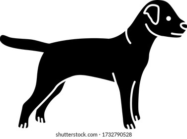 An icon illustration of a Border Terrier