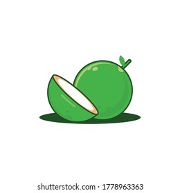 

icon, illustration of coconut fruit -vector