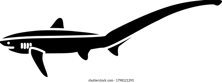 An icon illustration of a Common Thresher Shark