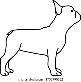 An icon illustration of a French Bulldog