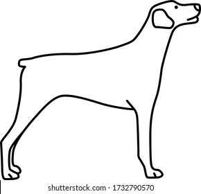 An icon illustration of a Great Dane