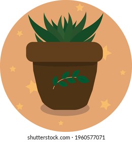 icon illustration green flower succulent in brown pot