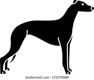 An icon illustration of a Greyhound