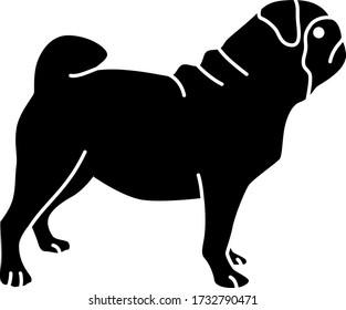 An icon illustration of a Pug