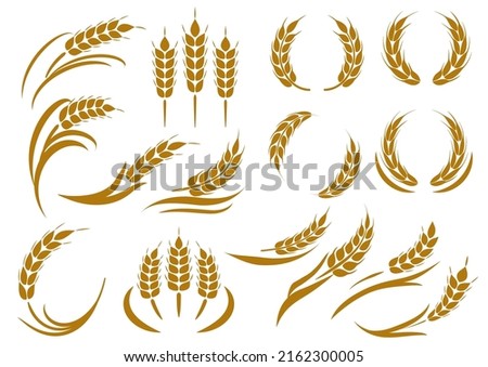 It is an icon illustration of wheat ears.