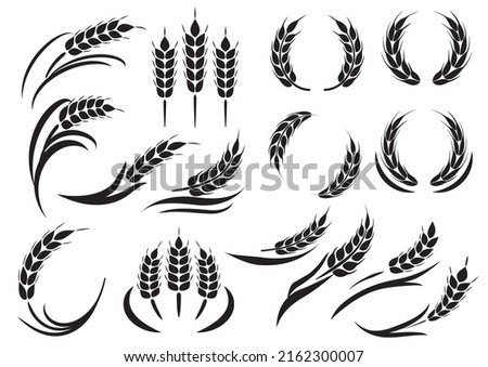It is an icon illustration of wheat ears.